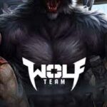 WolfTeam 67.000 Joypara